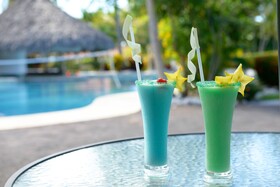 Hotel Villas Playa Samara Beachfront  Resort