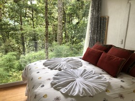 Dantica Cloud Forest Lodge