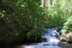 Dantica Cloud Forest Lodge