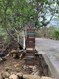 Akwa Resorts Ocean View