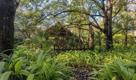 Hotel Nantipa - - A Tico Beach Experience