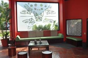 Terraza del Pacifico