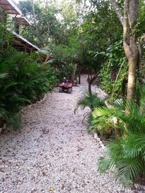 Green Sanctuary Hotel