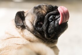 Green Sanctuary Hotel