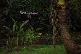 Essence Arenal Hostel