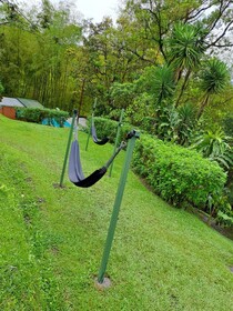 Essence Arenal Hostel