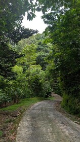 Essence Arenal Hostel