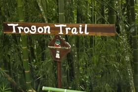 Essence Arenal Hostel