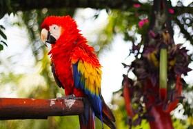 Essence Arenal Hostel