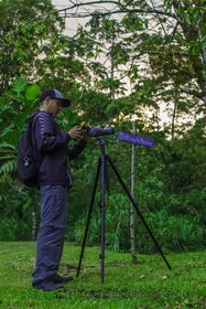 Essence Arenal Hostel