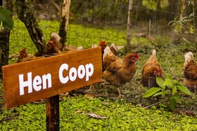 Essence Arenal Hostel