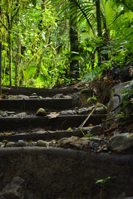 Rio Celeste Hideaway Hotel