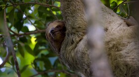 Rio Celeste Hideaway Hotel