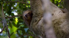 Rio Celeste Hideaway Hotel
