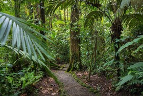Rio Celeste Hideaway Hotel