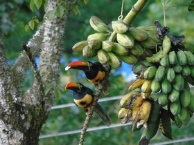 El Tesoro de Sir Hotel