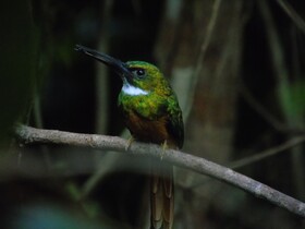 El Tesoro de Sir Hotel