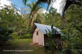 Estacion Biologica Tamandua
