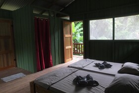 Estacion Biologica Tamandua