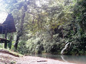 Estacion Biologica Tamandua