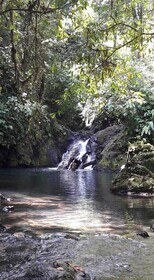 Estacion Biologica Tamandua
