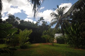 Estacion Biologica Tamandua