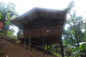 Estacion Biologica Tamandua