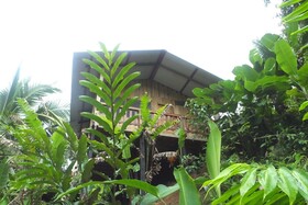 Estacion Biologica Tamandua