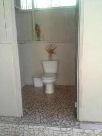 Estacion Biologica Tamandua