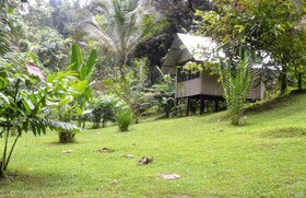 Estacion Biologica Tamandua