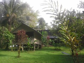 Estacion Biologica Tamandua