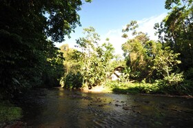 Estacion Biologica Tamandua