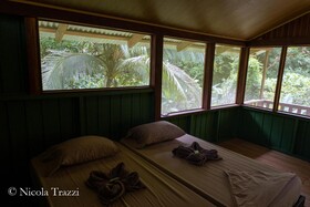 Estacion Biologica Tamandua