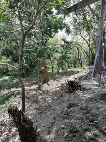 Manuel Antonio Comfort Casa Macao