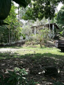 Manuel Antonio Comfort Casa Macao