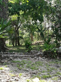 Manuel Antonio Comfort Casa Macao
