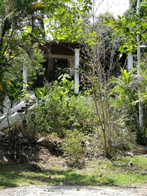 Manuel Antonio Comfort Casa Macao