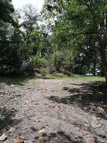 Manuel Antonio Comfort Casa Macao