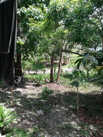 Manuel Antonio Comfort Casa Macao