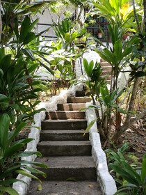 Manuel Antonio Comfort Casa Macao