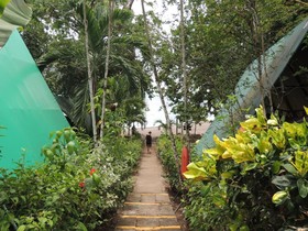 Corcovado Adventures Tent Camp