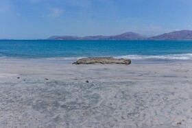 Flamingo Marina Resort