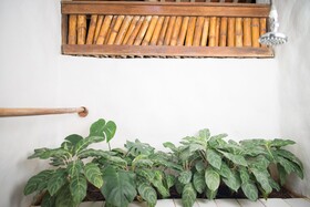 Sueno del Mar Beachfront Bed & Breakfast