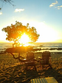 Sueno del Mar Beachfront Bed & Breakfast