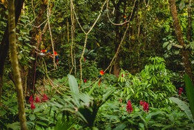 Gaia Hotel & Reserve