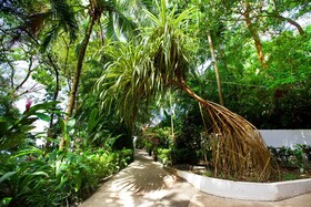 Makanda by The Sea Hotel