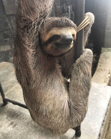 Makanda by The Sea Hotel