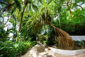 Makanda by The Sea Hotel