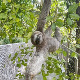 Makanda by The Sea Hotel