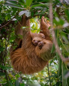 Makanda by The Sea Hotel